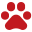 paw