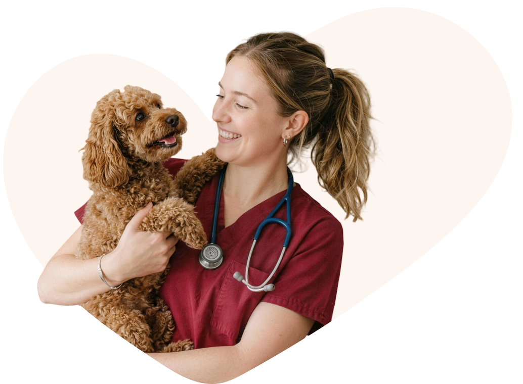 Tailored Tech for Pets